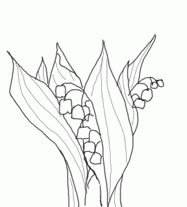 coloriage muguet, coloring lily of the valley